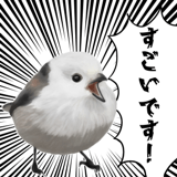 795624031
