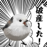 795624034