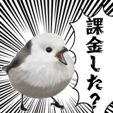 795624036