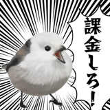 795624037