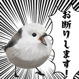 795624039