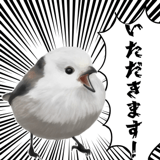 795624041