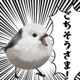 795624042