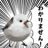 795624043