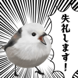 795624045