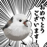 795624046