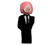 795624427