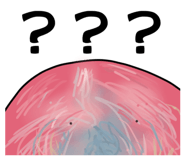 795624452