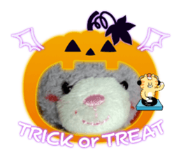 795634111
