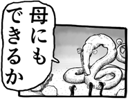 795634842