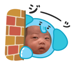 795636642