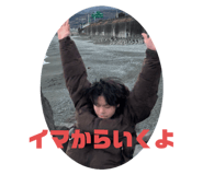 795636684