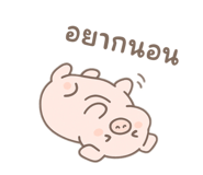 795649647
