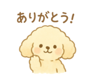795667957