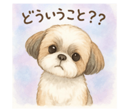 795668304