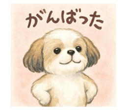795668310