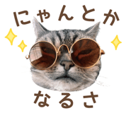 795672363
