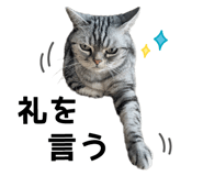 795672365