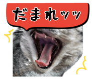 795672367