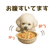 795677325