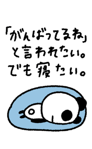 795683728