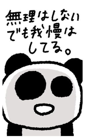 795683736