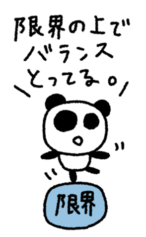 795683749