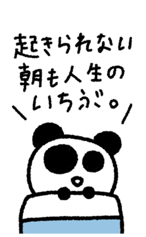 795683755