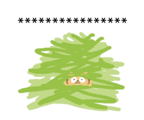 795719090