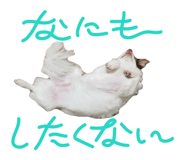 795734218