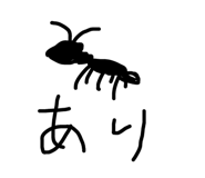 79574628