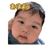 795755562