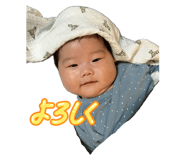 795755565