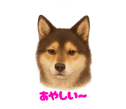 795760237