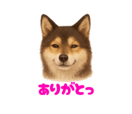 795760238