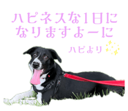 795765501