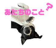 795765508