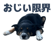 795765510