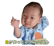 795769533