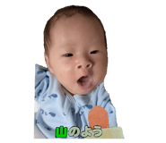 795769534