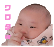 795769541