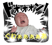 795769545