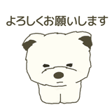 795775666
