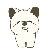 795775669