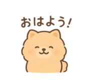 795775698