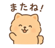 795775711