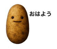 795780410