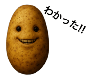795780416