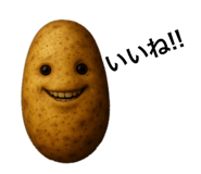 795780419