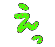 795781770